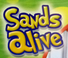 Sands Alive Toy